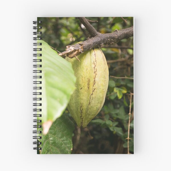 Item preview, cacao pod designed and sold by ROSE ANN BANILAR.