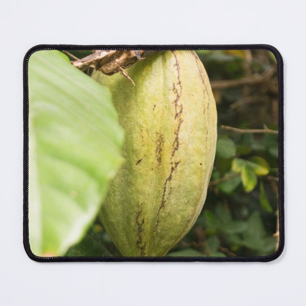 Item preview, cacao pod designed and sold by ROSE ANN BANILAR.
