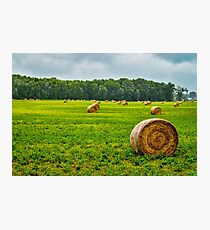 Landscape Photographic Print