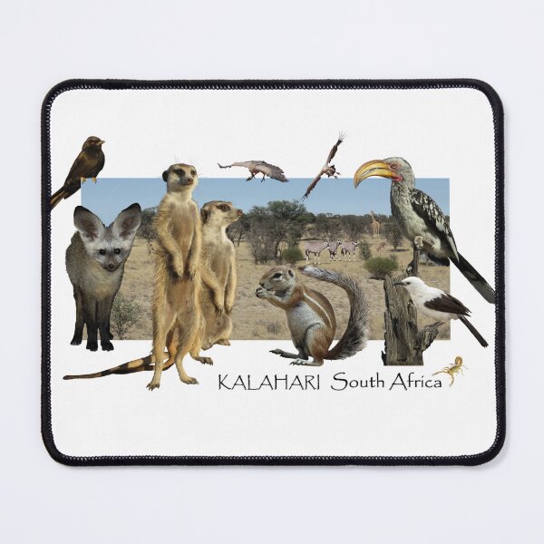 Item preview, Kalahari Wildlife designed and sold by ZoObsessed.