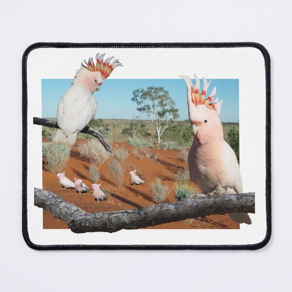 Item preview, Pink Cockatoo designed and sold by ZoObsessed.