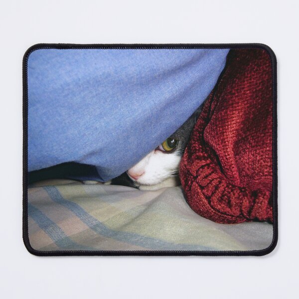 Item preview, Peek a boo designed and sold by Frankie Cat Photography.