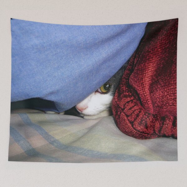 Item preview, Peek a boo designed and sold by Frankie Cat Photography.