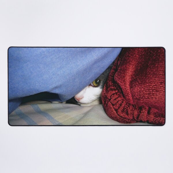 Item preview, Peek a boo designed and sold by Frankie Cat Photography.