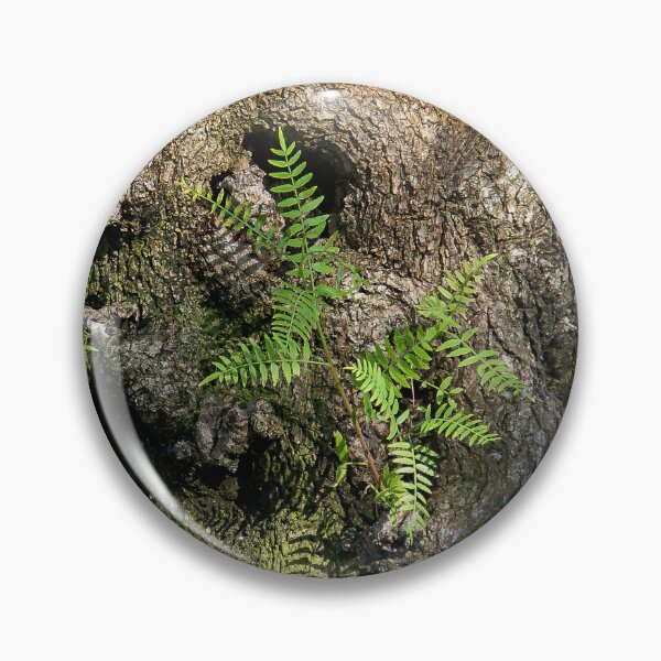 Item preview, Tree Trunk Fern Garden! designed and sold by heatherfriedman.