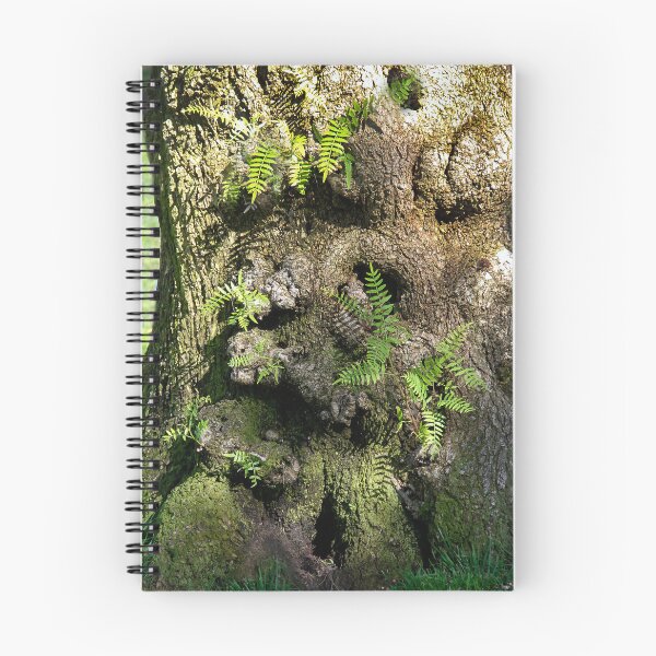 Item preview, Tree Trunk Fern Garden! designed and sold by heatherfriedman.