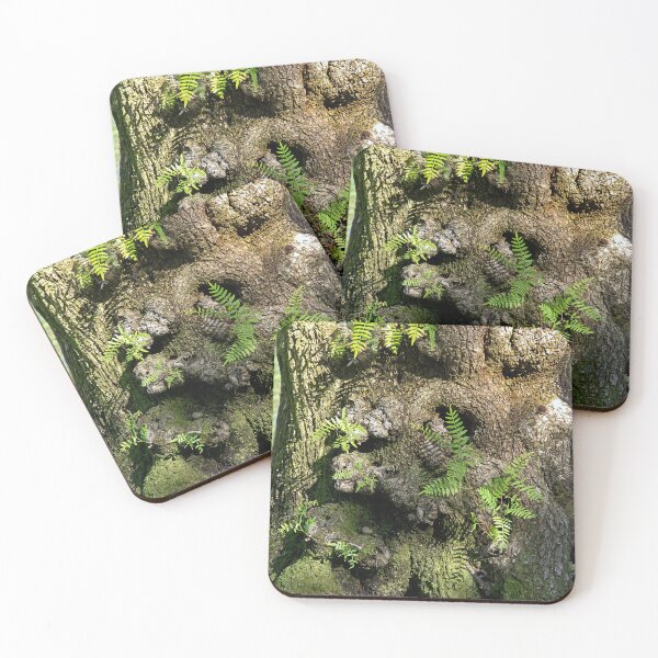 Item preview, Tree Trunk Fern Garden! designed and sold by heatherfriedman.