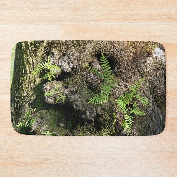 Item preview, Tree Trunk Fern Garden! designed and sold by heatherfriedman.