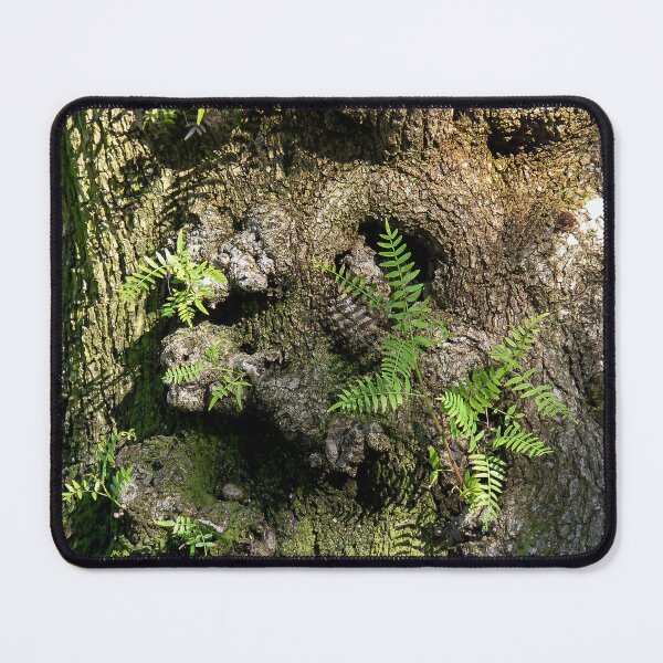 Item preview, Tree Trunk Fern Garden! designed and sold by heatherfriedman.