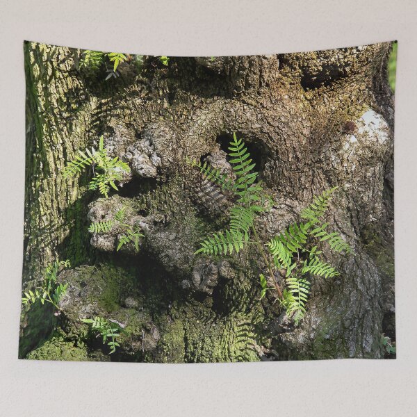 Item preview, Tree Trunk Fern Garden! designed and sold by heatherfriedman.