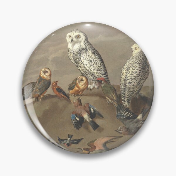 Item preview, Study of Birds (Anonymous) designed and sold by Amanda1775.