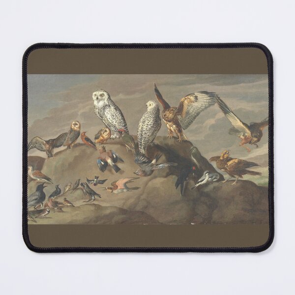 Item preview, Study of Birds (Anonymous) designed and sold by Amanda1775.