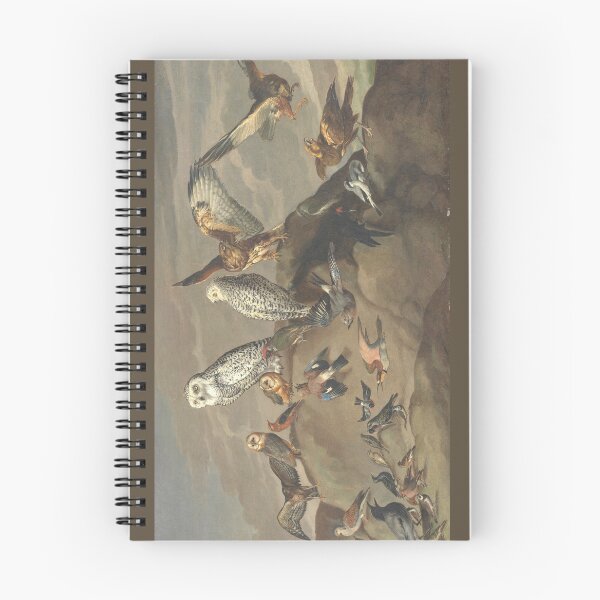 Item preview, Study of Birds (Anonymous) designed and sold by Amanda1775.