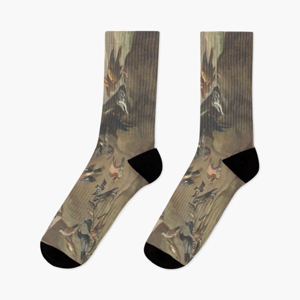 Item preview, Study of Birds (Anonymous) designed and sold by Amanda1775.