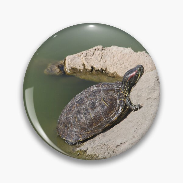 Item preview, Turtle Enjoying the Sun designed and sold by heatherfriedman.