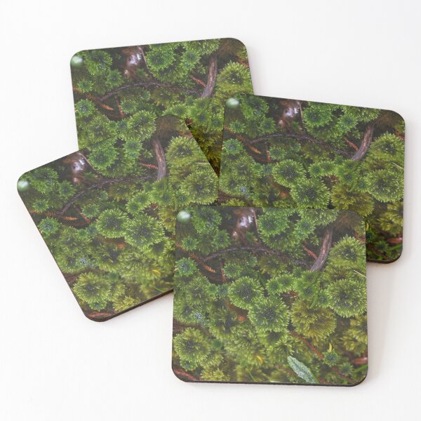 Item preview, Umbrella Moss designed and sold by GivernyKate.