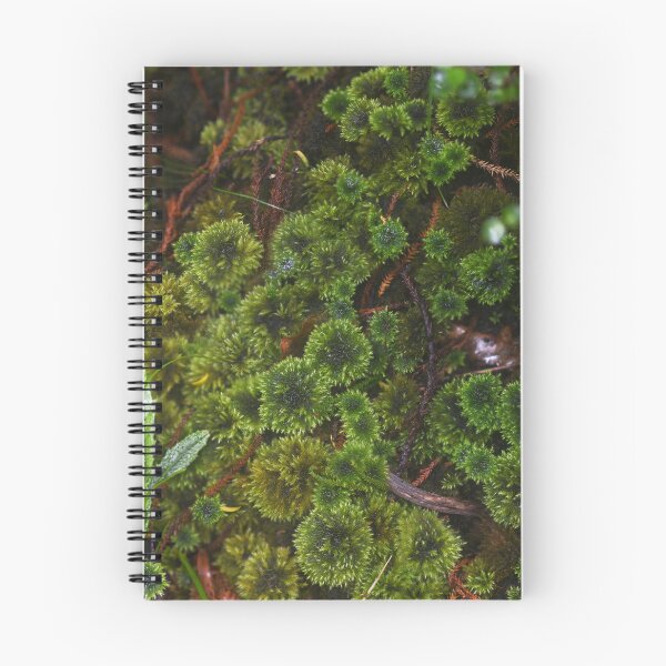Item preview, Umbrella Moss designed and sold by GivernyKate.