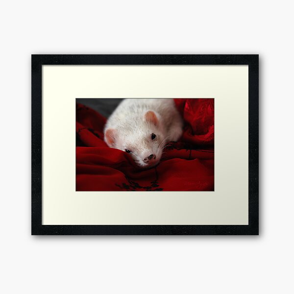 The Elegance Framed Art Print