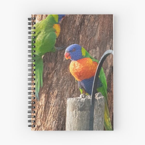 Item preview, Boss Parrot Leith Park Victoria 20180618 2856  designed and sold by Fred Mitchell.