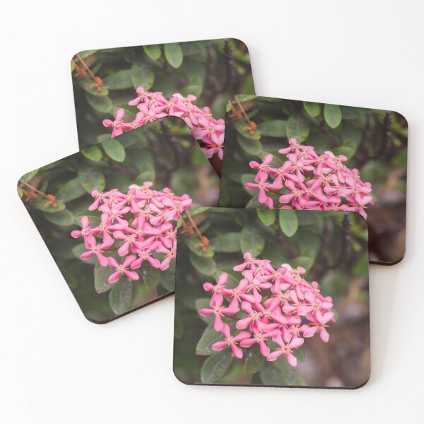 Item preview, Burning Love Flowers designed and sold by ROSE ANN BANILAR.