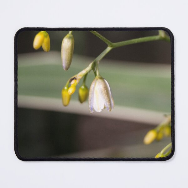 Item preview, flax lily designed and sold by ROSE ANN BANILAR.