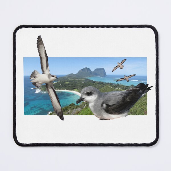 Item preview, Black-winged Petrel designed and sold by ZoObsessed.