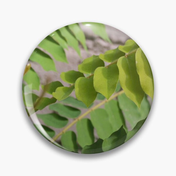 Item preview,  cucumber tree or tree sorrel designed and sold by ROSE ANN BANILAR.