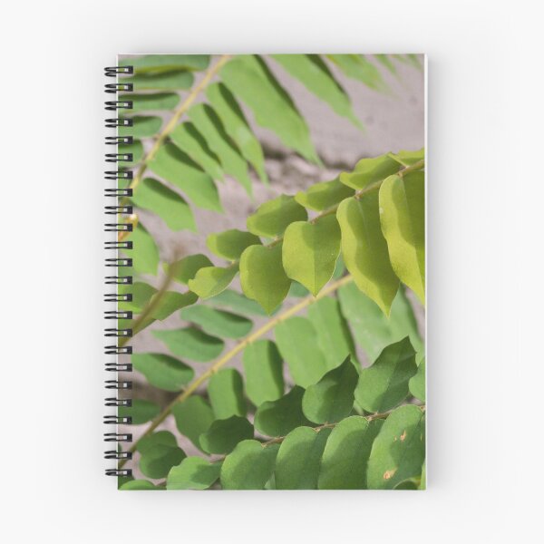 Item preview,  cucumber tree or tree sorrel designed and sold by ROSE ANN BANILAR.