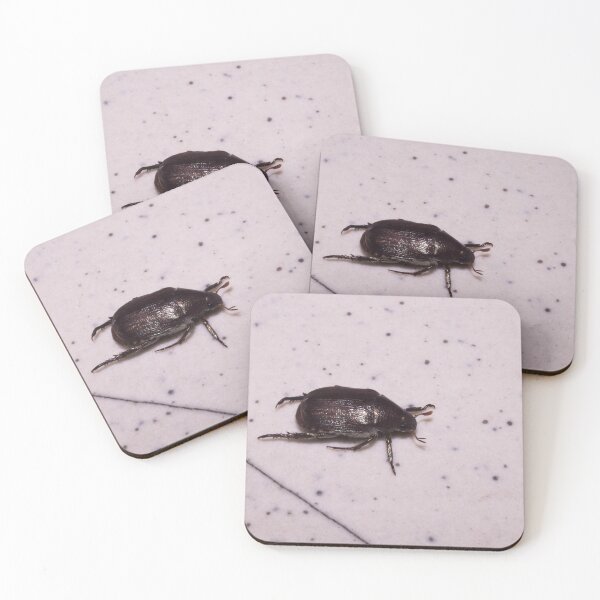 Item preview, scarab beetle designed and sold by ROSE ANN BANILAR.