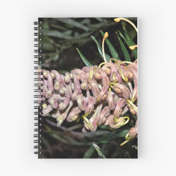 Item preview, Orange Grevillea Leith Park Victoria 20180704 3015  designed and sold by Fred Mitchell.