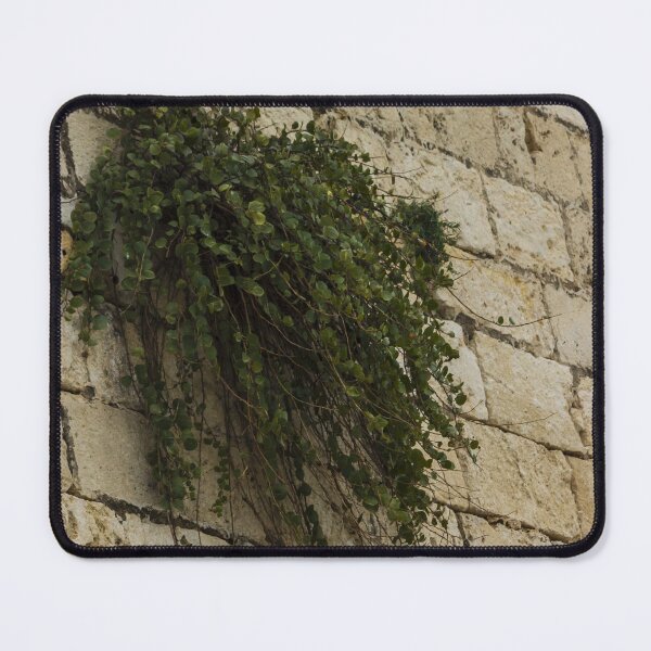 Item preview, Old Stone Wall With Hanging Green Plant Creating Rustic Charm And Natural Texture designed and sold by Nmallia.