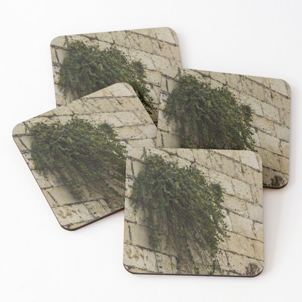 Item preview, Old Stone Wall With Hanging Green Plant Creating Rustic Charm And Natural Texture designed and sold by Nmallia.