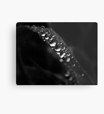 Drops Metal Print