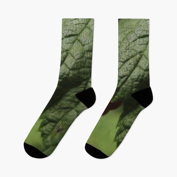 Item preview, Wild Raspberry and Green Leaf Macro – Summer Forest Aesthetic designed and sold by vikko-art.
