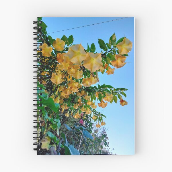 Item preview, flowers at sunset designed and sold by Dalilapsvel.
