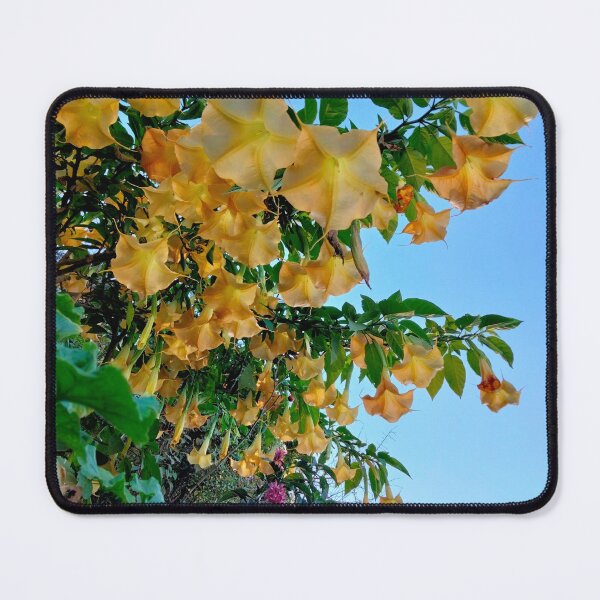 Item preview, flowers at sunset designed and sold by Dalilapsvel.