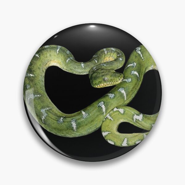 Item preview, The Jungle’s Lethal Gem: Emerald Tree Boa (Corallus caninus) designed and sold by FreiherrPK.