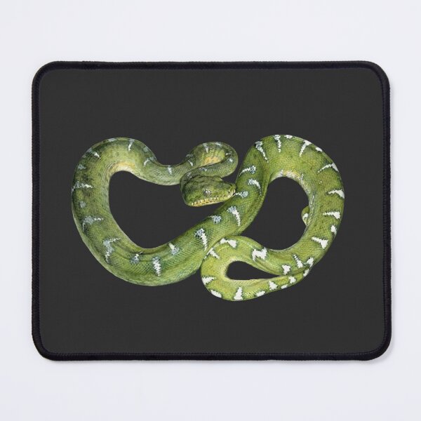 Item preview, The Jungle’s Lethal Gem: Emerald Tree Boa (Corallus caninus) designed and sold by FreiherrPK.