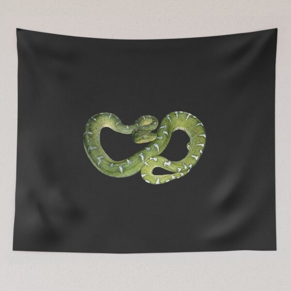Item preview, The Jungle’s Lethal Gem: Emerald Tree Boa (Corallus caninus) designed and sold by FreiherrPK.