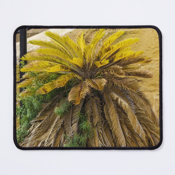 Item preview, Yellow Palm Fronds Grow From A Foliage Bush Beside A Stony Staircase Wall designed and sold by Nmallia.