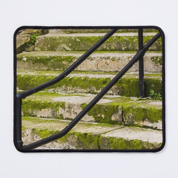 Item preview, Weathered Stone Staircase With Black Railings and Potted Plant in Historic Exterior Town Setting designed and sold by Nmallia.