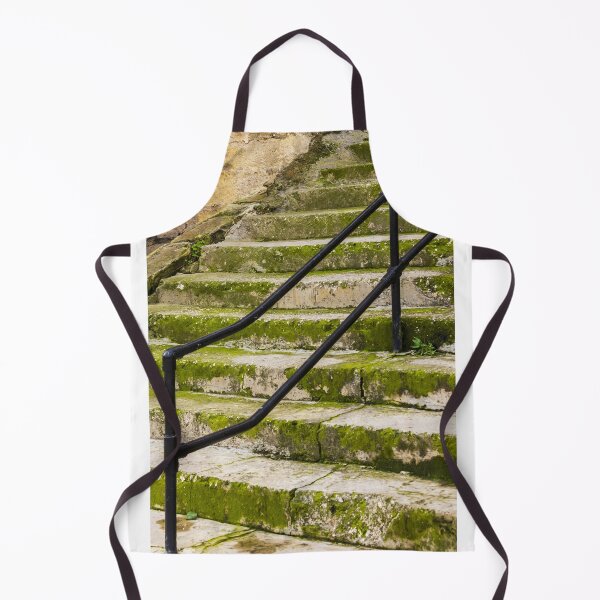 Item preview, Weathered Stone Staircase With Black Railings and Potted Plant in Historic Exterior Town Setting designed and sold by Nmallia.