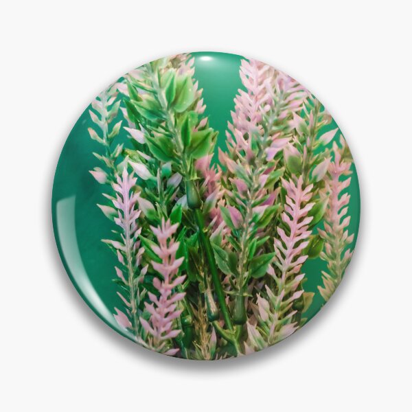 Item preview, Pink Heather Plant In Pot With Green Foliage Against Bright Green Wall For Home Decor designed and sold by Nmallia.