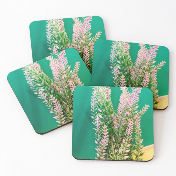 Item preview, Pink Heather Plant In Pot With Green Foliage Against Bright Green Wall For Home Decor designed and sold by Nmallia.