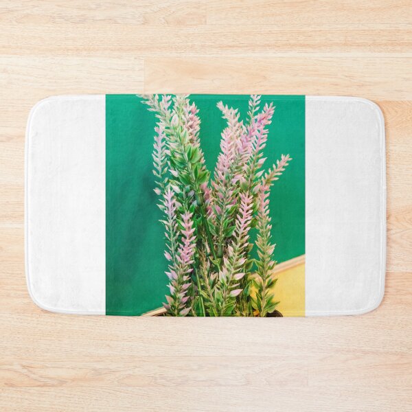 Item preview, Pink Heather Plant In Pot With Green Foliage Against Bright Green Wall For Home Decor designed and sold by Nmallia.