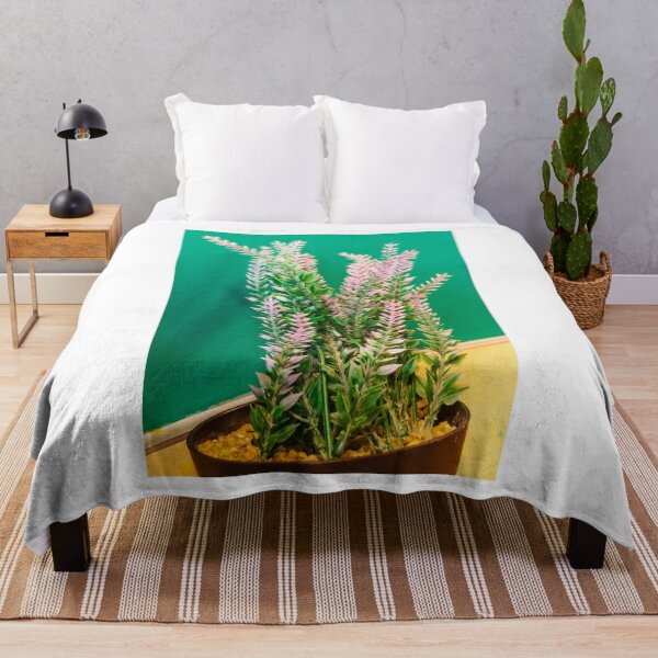 Item preview, Pink Heather Plant In Pot With Green Foliage Against Bright Green Wall For Home Decor designed and sold by Nmallia.