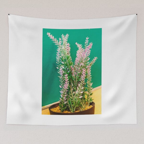 Item preview, Pink Heather Plant In Pot With Green Foliage Against Bright Green Wall For Home Decor designed and sold by Nmallia.