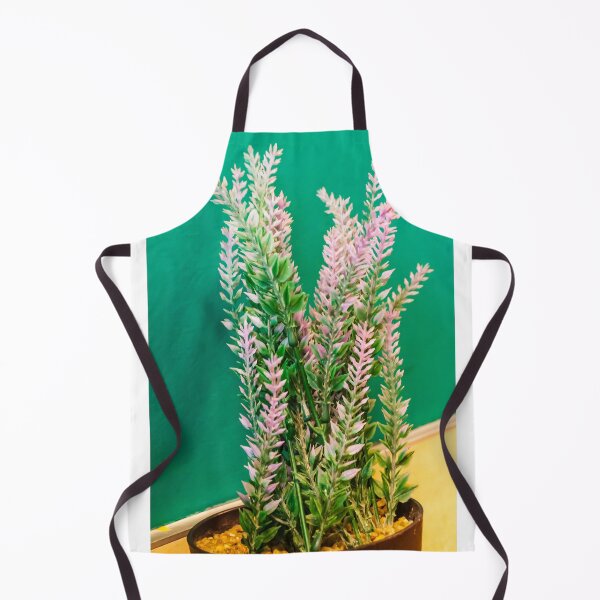 Item preview, Pink Heather Plant In Pot With Green Foliage Against Bright Green Wall For Home Decor designed and sold by Nmallia.