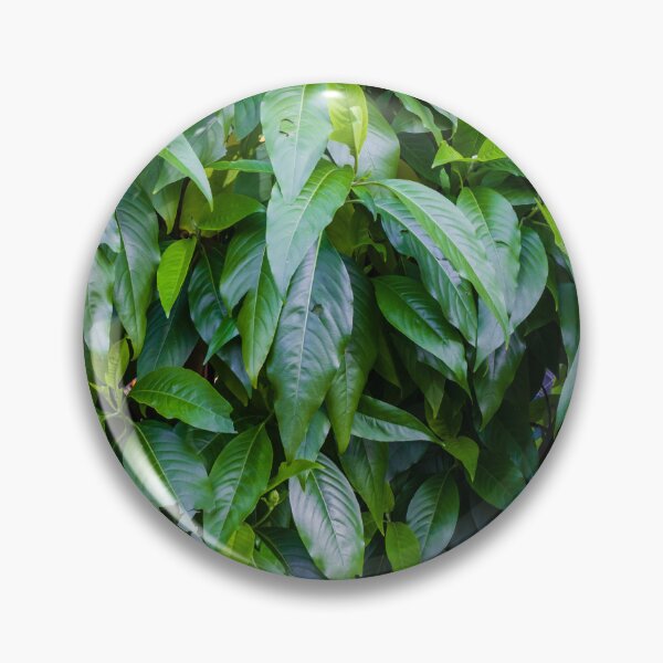 Item preview, Lush Green Leaves Dense Foliage Filling A Vibrant Garden Hedge With Fresh Natural Beauty designed and sold by Nmallia.