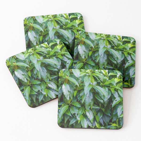 Item preview, Lush Green Leaves Dense Foliage Filling A Vibrant Garden Hedge With Fresh Natural Beauty designed and sold by Nmallia.